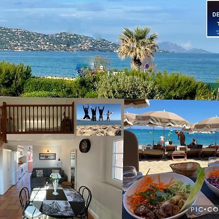 Sainte Maxime France 4 Etoiles Front De Mer Plage De La Nartelle Экстерьер фото